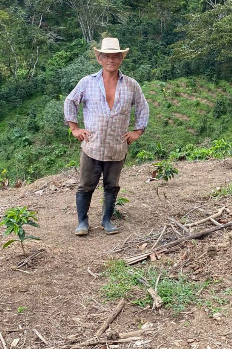 Vivero 5ta Café